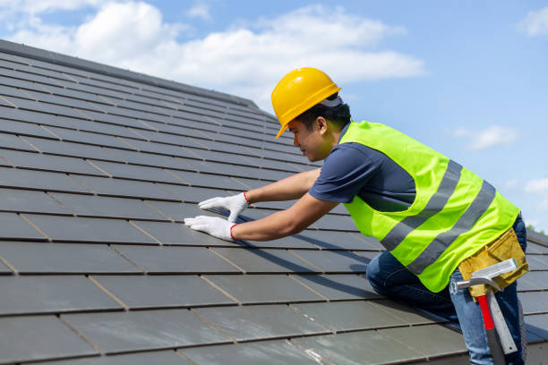Best Roof Moss and Algae Removal  in Bloomville, OH